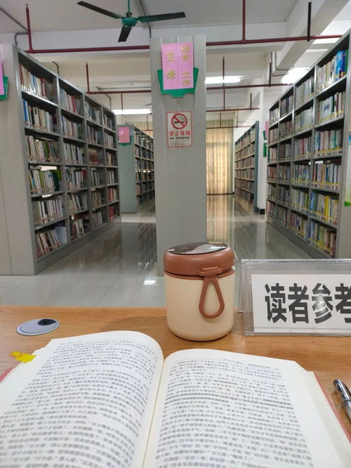 这届95后的求职尽头 当图书管理员