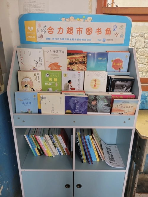 合力 班班有个图书角 走进大方县背座小学