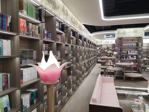 大变化 10月1日,保定市新华书店图书大厦重装开业