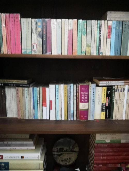 书房里的惬意时光